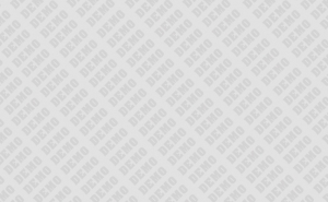 Bibendum feugiat enim sapien