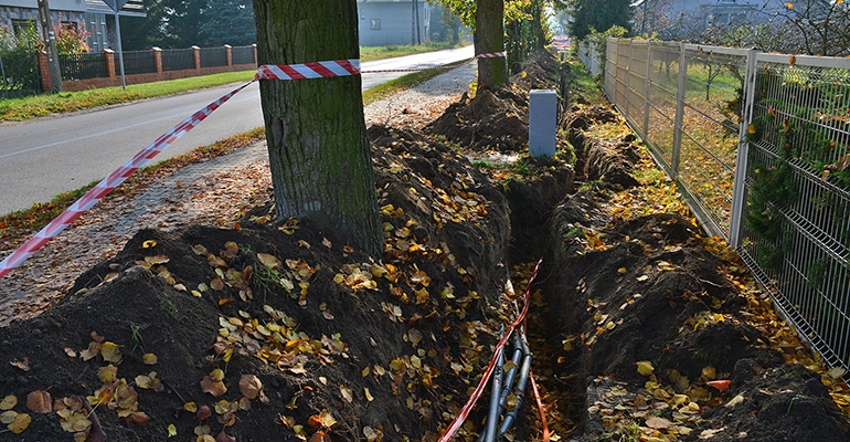 Podczas inwestycji korzenie dzrew przycięto zbyt mocno