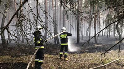 Palił się las w Cieszkowie