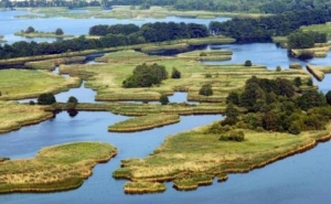 Pomniki przyrody w powiecie ostrowskim