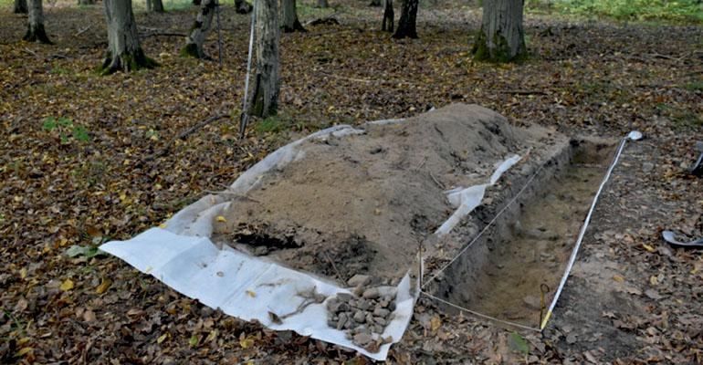 Starożytne osiedle w Borach