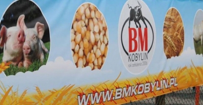 Strategiczny inwestor wycofał się z BM Kobylin