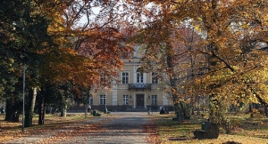 Kto zajmie się zielenią?