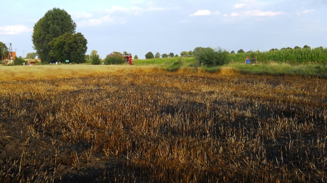 Pożar pola w Grębowie 