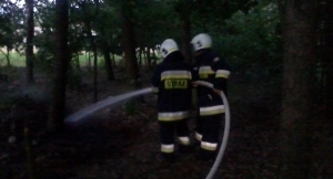 Pożar ściółki leśnej[gallery]