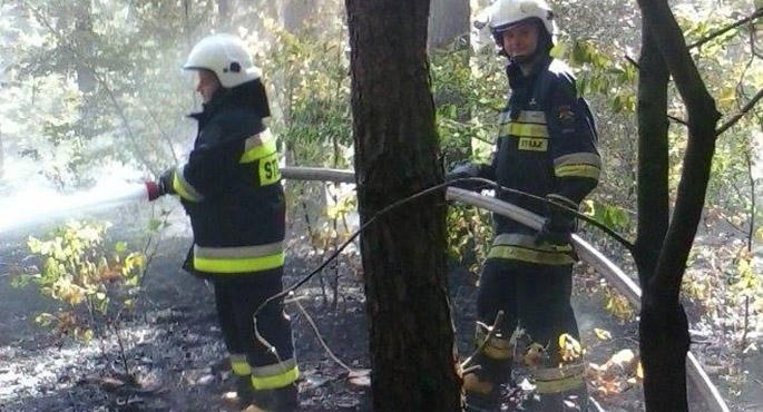 Kolejny groźny pożar. Tym razem zapalił się las