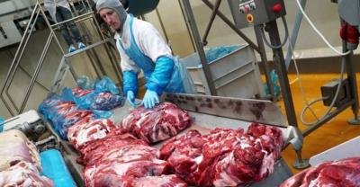 Już niedługo polskie mięso trafi do Japonii