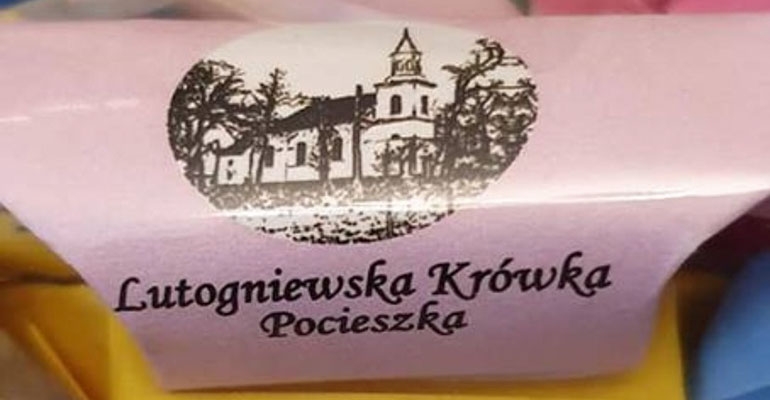 „Krówka pocieszka” z Lutogniewa