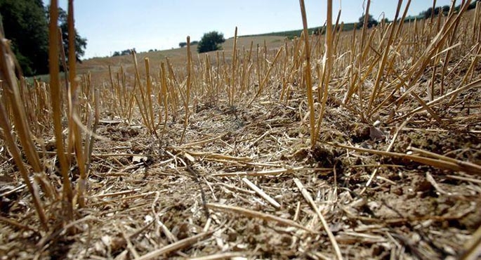 Susza już kosztuje 880 mln zł!